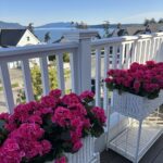 Coastal Cottage Amazon Finds We're Loving Lately